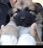 processed/5a51713d-62eb-4db0-aca7-faec690e73d2/listing/10d91c61-12c5-45f8-8382-f099c693e677/ad12ce71-1e6b-4268-8985-51d416d5862c