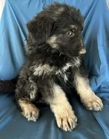 processed/5a51713d-62eb-4db0-aca7-faec690e73d2/listing/2e9aca5f-6432-4c58-8c13-6f6539a489f1/11869b2e-ef97-4d2e-a137-b53e4c4427b0