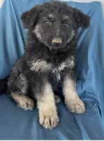 processed/5a51713d-62eb-4db0-aca7-faec690e73d2/listing/2e9aca5f-6432-4c58-8c13-6f6539a489f1/515f3990-ffa6-43ae-9056-521ed6055f02