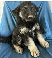 processed/5a51713d-62eb-4db0-aca7-faec690e73d2/listing/2e9aca5f-6432-4c58-8c13-6f6539a489f1/5e3b593c-746f-4fb9-8a9e-7889eabe3d7f