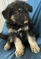 processed/5a51713d-62eb-4db0-aca7-faec690e73d2/listing/2e9aca5f-6432-4c58-8c13-6f6539a489f1/6b585498-de67-459a-b7fe-a088cc3d54b8