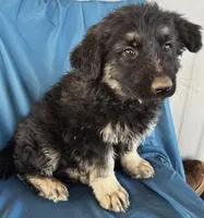 processed/5a51713d-62eb-4db0-aca7-faec690e73d2/listing/2e9aca5f-6432-4c58-8c13-6f6539a489f1/94c3f29b-6da9-4217-853f-dc40f694f8c2