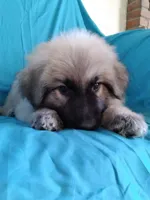 processed/5a51713d-62eb-4db0-aca7-faec690e73d2/listing/3ba95ba0-8962-4254-aacb-9f9bfc28a5c3/30acfec0-e472-4366-91ac-6e3818958a6b