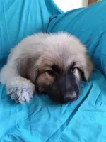 processed/5a51713d-62eb-4db0-aca7-faec690e73d2/listing/3ba95ba0-8962-4254-aacb-9f9bfc28a5c3/d9dec556-75f1-4b3a-bd0f-de1c1b3d87e7