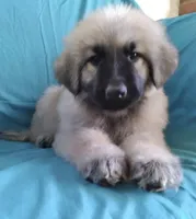 processed/5a51713d-62eb-4db0-aca7-faec690e73d2/listing/3ba95ba0-8962-4254-aacb-9f9bfc28a5c3/dc35f62b-ee25-4063-a470-cbbae4fc0656