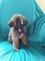 processed/5a51713d-62eb-4db0-aca7-faec690e73d2/listing/3eff7733-10f2-4461-b27b-8127a766b2a6/111ea65d-b906-465f-bb5a-7e0c16632c38