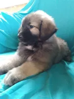 processed/5a51713d-62eb-4db0-aca7-faec690e73d2/listing/3eff7733-10f2-4461-b27b-8127a766b2a6/3fc70d25-3522-405a-a96a-f38ff9b80cf3