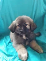 processed/5a51713d-62eb-4db0-aca7-faec690e73d2/listing/3eff7733-10f2-4461-b27b-8127a766b2a6/f52521d0-aa79-4b23-821c-72ac27ab2f56