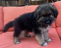 processed/5a51713d-62eb-4db0-aca7-faec690e73d2/listing/4f7a0bf8-0dd6-4269-9421-340cad6133aa/c7e7c74f-d132-4df0-bf78-505fe5f11c2d