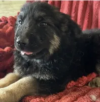 processed/5a51713d-62eb-4db0-aca7-faec690e73d2/listing/50c8997d-ac9a-4a2e-95a5-6effd119b449/38ea6e02-1de8-42be-83ff-910e44c3e500