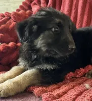 processed/5a51713d-62eb-4db0-aca7-faec690e73d2/listing/50c8997d-ac9a-4a2e-95a5-6effd119b449/406a9552-5b4b-4c0c-b0ae-1273044dee7f