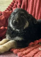 processed/5a51713d-62eb-4db0-aca7-faec690e73d2/listing/50c8997d-ac9a-4a2e-95a5-6effd119b449/a351e966-bc07-4af7-8149-673097a2d060