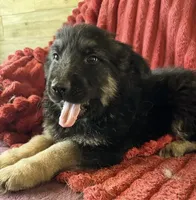 processed/5a51713d-62eb-4db0-aca7-faec690e73d2/listing/50c8997d-ac9a-4a2e-95a5-6effd119b449/ccd541e2-e2ef-4767-8384-147cdecb8ec2