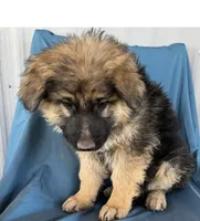 processed/5a51713d-62eb-4db0-aca7-faec690e73d2/listing/58dd6c60-3525-4939-81cd-d3a8b84e93d6/8e01a285-1bab-44ef-a933-469f98b16bbc