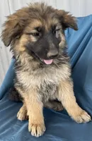 processed/5a51713d-62eb-4db0-aca7-faec690e73d2/listing/58dd6c60-3525-4939-81cd-d3a8b84e93d6/a7e1b3a2-dccd-4ba0-be12-dcd3ac386c3e