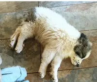 processed/5a51713d-62eb-4db0-aca7-faec690e73d2/listing/8f98a9bd-d3c2-4b08-8e8b-9e45de71b026/6a0a7b05-d4ee-453d-8438-e8938b5409b0