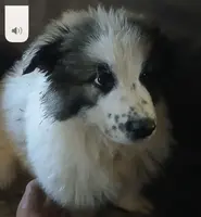 processed/5a51713d-62eb-4db0-aca7-faec690e73d2/listing/8f98a9bd-d3c2-4b08-8e8b-9e45de71b026/e606c420-1c92-4354-a052-83d1c2591a5c