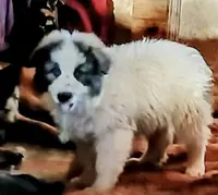 processed/5a51713d-62eb-4db0-aca7-faec690e73d2/listing/8f98a9bd-d3c2-4b08-8e8b-9e45de71b026/eadd2cab-3c89-4919-90a3-81839e34e4da