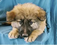 processed/5a51713d-62eb-4db0-aca7-faec690e73d2/listing/9cef2cf2-214d-40f5-9b2d-705169a4af59/03804348-3c49-447d-8f95-248467438c31