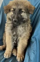 processed/5a51713d-62eb-4db0-aca7-faec690e73d2/listing/9cef2cf2-214d-40f5-9b2d-705169a4af59/492bcf2a-32a0-45c5-8999-1885fac0a6ff