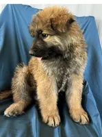 processed/5a51713d-62eb-4db0-aca7-faec690e73d2/listing/9cef2cf2-214d-40f5-9b2d-705169a4af59/6b99a21c-f68a-410e-ac2b-cc82b4690e4e