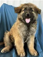 processed/5a51713d-62eb-4db0-aca7-faec690e73d2/listing/9cef2cf2-214d-40f5-9b2d-705169a4af59/a4de1492-b70c-4765-ab6f-0ea826a61d87