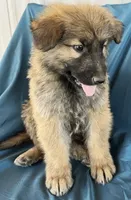 processed/5a51713d-62eb-4db0-aca7-faec690e73d2/listing/9cef2cf2-214d-40f5-9b2d-705169a4af59/c5589767-bbc0-4b0e-aa06-42af098bed94