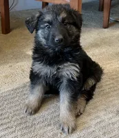 processed/5a51713d-62eb-4db0-aca7-faec690e73d2/listing/9eb56955-71b2-41cd-accb-28893a1c3b2b/466a0281-8ec6-462c-b4c1-1e2e47f1e2e6