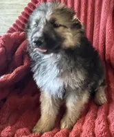 processed/5a51713d-62eb-4db0-aca7-faec690e73d2/listing/a2f7fba3-bdb7-49b7-9f30-63fda1ec7780/01c2e613-a099-4b61-a160-310dd67be01a