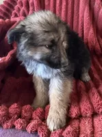 processed/5a51713d-62eb-4db0-aca7-faec690e73d2/listing/a2f7fba3-bdb7-49b7-9f30-63fda1ec7780/566be69d-bcbe-4cbb-a6c0-40df1d1c484c