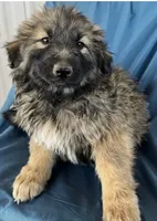 processed/5a51713d-62eb-4db0-aca7-faec690e73d2/listing/bf1c9eab-7a02-4d45-a97c-e609d470c206/15fffb05-b510-4c68-b7da-11178ecafbcf