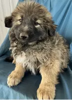 processed/5a51713d-62eb-4db0-aca7-faec690e73d2/listing/bf1c9eab-7a02-4d45-a97c-e609d470c206/341b1890-4e3b-4791-971e-daf73283f9b8