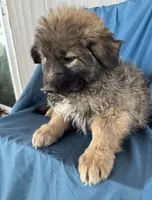 processed/5a51713d-62eb-4db0-aca7-faec690e73d2/listing/bf1c9eab-7a02-4d45-a97c-e609d470c206/3f521bec-fb40-458f-abd7-535aacadf4f2