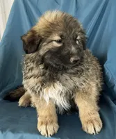 processed/5a51713d-62eb-4db0-aca7-faec690e73d2/listing/bf1c9eab-7a02-4d45-a97c-e609d470c206/6d95c33f-e686-4d12-b3e6-f105b8a18fa7