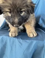 processed/5a51713d-62eb-4db0-aca7-faec690e73d2/listing/bf1c9eab-7a02-4d45-a97c-e609d470c206/e01b47a3-9019-47cd-a555-a4cdd2492d1b