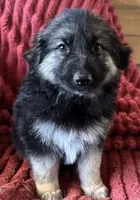 processed/5a51713d-62eb-4db0-aca7-faec690e73d2/listing/ceb20450-fd2e-4144-abea-d7f06ad7af92/5e2ea863-b7f2-4b67-832d-a2566ac3a2c7