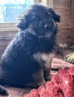 processed/5a51713d-62eb-4db0-aca7-faec690e73d2/listing/ceb20450-fd2e-4144-abea-d7f06ad7af92/8a175a7a-d95f-439a-a90e-35f1761e99f8