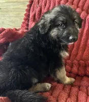 processed/5a51713d-62eb-4db0-aca7-faec690e73d2/listing/ceb20450-fd2e-4144-abea-d7f06ad7af92/e4b5637d-e180-4332-b284-909d1f17c555