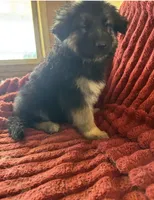 processed/5a51713d-62eb-4db0-aca7-faec690e73d2/listing/ceb20450-fd2e-4144-abea-d7f06ad7af92/f07af141-556a-43f0-88a3-bf3098b19156