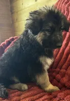 processed/5a51713d-62eb-4db0-aca7-faec690e73d2/listing/ceb20450-fd2e-4144-abea-d7f06ad7af92/f245abfa-4d07-4d04-b4b7-7f165105140d