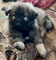 processed/5a51713d-62eb-4db0-aca7-faec690e73d2/listing/d751923b-aa9d-44e7-948b-946e7b7851d6/3cb3c040-1971-4e9c-9877-bbb8b848060d