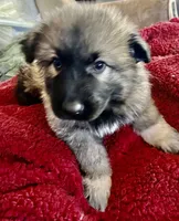 processed/5a51713d-62eb-4db0-aca7-faec690e73d2/listing/d751923b-aa9d-44e7-948b-946e7b7851d6/934f8eea-9a08-42e9-aac0-394d7eb9e9c2