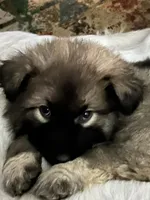 processed/5a51713d-62eb-4db0-aca7-faec690e73d2/listing/d751923b-aa9d-44e7-948b-946e7b7851d6/999b0b68-cf4e-433c-a147-faa2c9456f7e