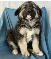 processed/5a51713d-62eb-4db0-aca7-faec690e73d2/listing/faaca2bf-4023-4765-85cb-096060110947/07bb5e1f-fa08-445c-b129-1a0c82b950de