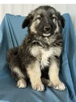 processed/5a51713d-62eb-4db0-aca7-faec690e73d2/listing/faaca2bf-4023-4765-85cb-096060110947/0f08e82e-64ba-4f0a-96df-e49d573305a3