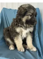 processed/5a51713d-62eb-4db0-aca7-faec690e73d2/listing/faaca2bf-4023-4765-85cb-096060110947/60bb6ed1-433d-4d57-a81b-40f4d1ef9908