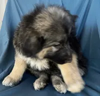 processed/5a51713d-62eb-4db0-aca7-faec690e73d2/listing/faaca2bf-4023-4765-85cb-096060110947/890a19ae-35d7-400a-a5ac-f3be3137bc04