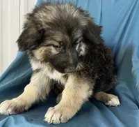 processed/5a51713d-62eb-4db0-aca7-faec690e73d2/listing/faaca2bf-4023-4765-85cb-096060110947/961186b9-1527-4831-a91b-fa80aeee95dc