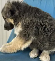 processed/5a51713d-62eb-4db0-aca7-faec690e73d2/listing/faaca2bf-4023-4765-85cb-096060110947/e203ce98-c830-402f-b560-1c73c9c283e7