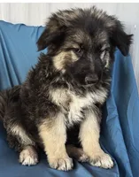 processed/5a51713d-62eb-4db0-aca7-faec690e73d2/listing/faaca2bf-4023-4765-85cb-096060110947/e9d24abf-06ba-454c-9a5a-91b352c2c32b